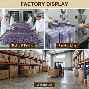 ดอกลาเวนเดอร์แห้งสำหรับการแปรรูปเครื่องสำอางขนาดใหญ่ คุณภาพสูงสุด จัดหาจำนวนมาก มาตรฐานส่งออก ตรงจากแหล่งผลิต - Product Image 3