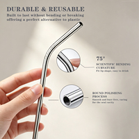 Paille réutilisable en acier inoxydable avec brosse de nettoyage, pailles métalliques droites et courbées pour café glacé, cocktails, jus