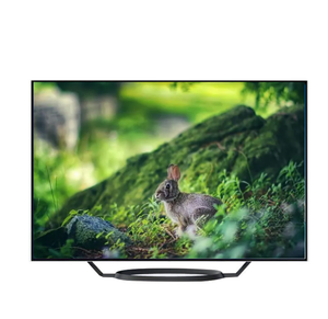 Directo de fábrica barato 65 pulgadas <span class=keywords><strong>OLED</strong></span> Smart Android <span class=keywords><strong>TV</strong></span> 1 + 8G 4K famoso Panel LED retroiluminación 4000 piezas inventario para hoteles - Product Image 5
