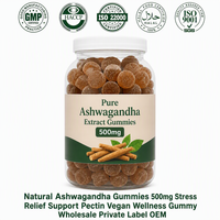 Gummies d'Ashwagandha Pures 500mg Haute Puissance Soutien Immunitaire Supplément Végétalien pour Adultes Vente en Gros Marque Privée en Vrac