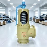 Direkt vom Hersteller: Sicherheitsventil aus Kohlenstoffstahl mit Federmechanismus und Mikrohubfunktion für Dampf- und Wasserdienste