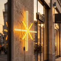 Luz LED de Arcoíris con Motivo de Estrella Cruzada 2D para Exteriores, IP65, con Marco de Aluminio Metálico de 70x70cm, para Decoración Navideña y de Paisajes