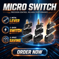Micro-interrupteur à levier de déplacement bidirectionnel avec fonction de fin de course Z-15GW22-B 16A 1NO 1NC