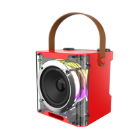 Haut-parleur karaoké LED RGB avec micro et Bluetooth, micro USB TF rechargeable, lumière portable, haut-parleur Bluetooth sans fil 829