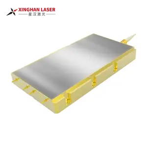 915nm+976nm 1000w Fiber Coupled Diode Laser Laser Pumping Fiber Coupled with Wavelength Stabilized