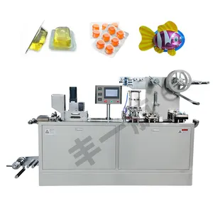 CE-zertifizierte Blisterverpackungsmaschine für Lebensmittel Snack automatisch Alu PVC DPB140