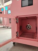 Máquina de Lavado de Mascotas con Burbujas de Hidrógeno, Secado Rápido, Estación de Spa para Perros y Gatos, Uso Profesional en Hospitales de Mascotas
