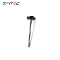 Fabricant de pièces automobiles, soupape d'admission 1003202GD190 pour système moteur automobile JAC T6 2.0