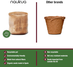 Kit de culture de <span class=keywords><strong>jardin</strong></span> urbain vintage pour herbes aromatiques Kit d'herbes d'intérieur pour adultes démarreur de plantes - Product Image 5