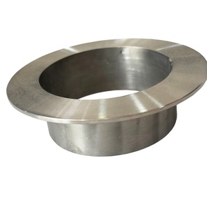 Titan Lap phần khai cuối 1/2 inch-48 inch lịch trình 5S để sắp xếp 80 - Product Image 6