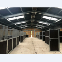 Bâtiment équestre préfabriqué en acier, arène d'équitation en métal, étable en structure légère en acier pour la construction agricole