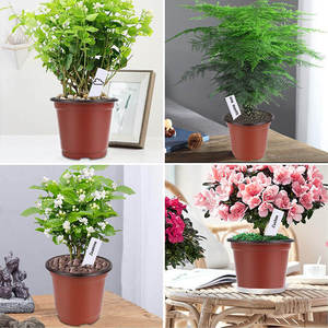 Bac à jardinage rond BN150, petits Pots de fleurs Double couleur pour plantation, 150X105X135mm - Product Image 3