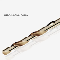 Jeu de forets hélicoïdaux revêtus de cobalt M35 de 113mm à tige droite en acier rapide pour acier inoxydable, cuivre, aluminium et bois
