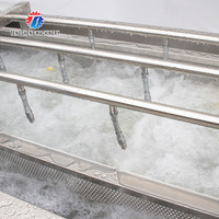 Commerciële Groente Fruit Wasmachine Industriële Bubbel Wasmachine Fruit