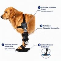 Attelle de cheville articulée réglable pour chien, post-opératoire, avec cadre en plastique respirant, pour correction de la marche et stabilisation des ligaments fracturés