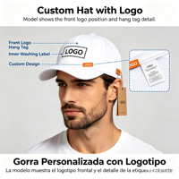 31 Casquettes de baseball sportives à visière incurvée, 5 panneaux, 100% Coton, avec logo imprimé par transfert thermique, Marque Originale Dandi HatsBrim
