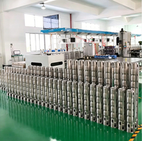 Pompe submersible électrique haute pression en acier inoxydable pour puits profond et forage de jardin, fabriquée en Chine