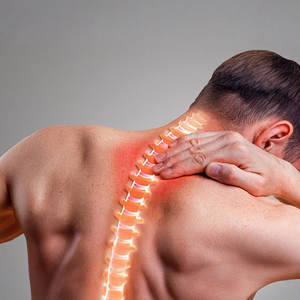 タイ産ハーブ植物タイガーバーム、膝、手首、腰の関節痛緩和軟膏、体の痛みを和らげるクリーム（卸売） - Product Image 5