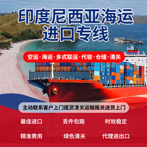 Jingejun Logistics, Transporte de Carga, Envío LCL Express, de China a Indonesia, Malasia, Filipinas, Singapur, Brunéi, Timor Oriental - Product Image 5