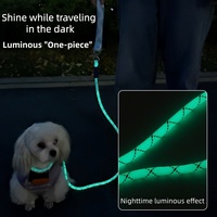 Accessoires pour chiens et chats Vente en gros Ensemble collier et laisse lumineux en nylon de luxe à la mode pour chiens