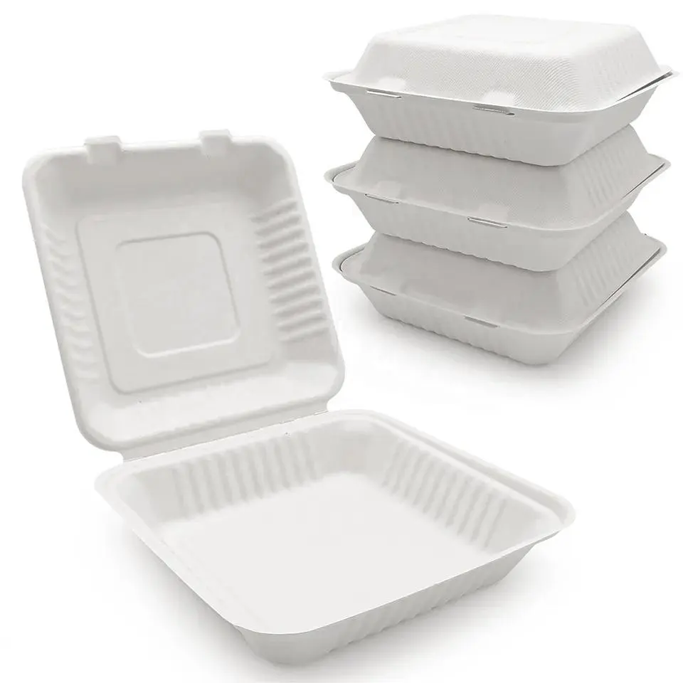 100% mía bã mía sợi nhà compostable vỏ sò đưa ra thực phẩm container 9x9 1-Ngăn để đi container