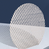 Anode en titane revêtue d'iridium ruthénium pour électrolyse/plaque d'anode pour eau électrolytique/maille d'électrode électrochimique
