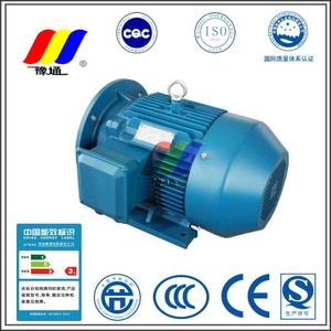 มอเตอร์เหนี่ยวนำแบบอะซิงโครนัสสามเฟส YE2-180M-4 ซีรีส์ YE2 3 เฟส 1440 รอบต่อนาที IE2 - Product Image 6