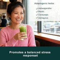 Supports Champignons et Probiotiques Marque Privée Poudre de Légumes Mixte 100% Pure Superfood Supergreens Super Greens Poudre