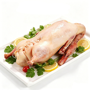 Pato de Pekín Congelado Pre-sazonado al por Mayor, Embrio de Pato Entero para Asar, Halal, OEM para Negocios de Catering - Product Image 1