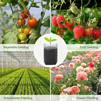 Sacs de culture en tissu non tissé écologiques, légers et durables pour pépinières, fleurs, légumes et semis, capacité 3,8 L, vente en gros
