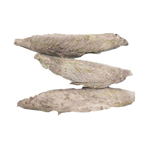 Bulk Body intero pesce nutriente <span class=keywords><strong>a</strong></span> basso contenuto di grassi filetto di pesce congelato crostate di tonno striato precotto - Product Image 1