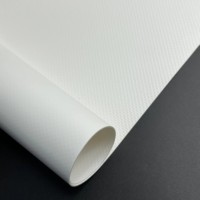Lona de Vinilo Personalizada al por Mayor, Impermeable, Resistente al Fuego, 850gsm, 1000D, Tela Recubierta de PVC para Carpas