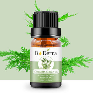 Traditionelle Kräuter-<span class=keywords><strong>Massage</strong></span> Aromatherapie Huile Essentielle Artemisia Arborescens Ätherische Öle Reines Süßes Beifußöl Bio - Product Image 2