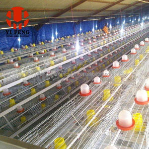Jaula para Pollos <span class=keywords><strong>de</strong></span> 4 Niveles, Económica y Resistente al Óxido, 128 Unidades, para Granjas Avícolas en Etiopía, Jaula para Gallinas Ponedoras, en Oferta - Product Image 5