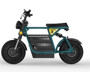 Kıyıcı tarzı motosiklet yetişkin elektrik pili e-bisiklet şehir toptan elektrikli motosiklet