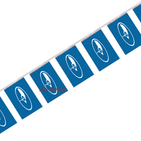 Guirlande de drapeaux Tokelau, mini-drapeaux, décoration pour l'école, les fêtes, les salles de classe, les événements sportifs