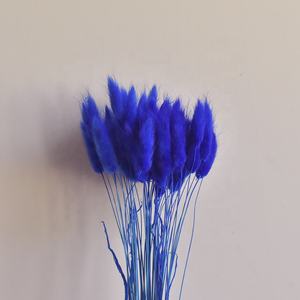 50 pcs/pack Rose Fleurs Décoratives Lapin Herbe Bébé <span class=keywords><strong>Lagurus</strong></span> Bundle Plantes Bouquet Naturel Ovatus Séché Lapin Queue de Resup - Product Image 5