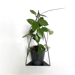 Maceta Colgante Geométrica de Metal Negro con Marco Cuadrado |   Soporte Moderno y Minimalista para Macetas, Decoración de Pared Interior para Sala de Estar - Product Image 1
