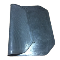 Plaque de membrane en caoutchouc pour filtre-presse Meura Mash, cadre de filtre Meura avec membrane élastique