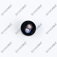 Câble à ressort à 2 noyaux Cordon à bobine flexible PVC PU PUR Caoutchouc Machine industrielle Fil spiralé Câble à bobine d'alimentation électrique