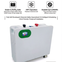 Système de stockage de batterie LiFePO4 divisé 51,2 V 300 Ah 15 kWh avec communication CAN, protection IP54, 12 000 cycles, solaire domestique mural