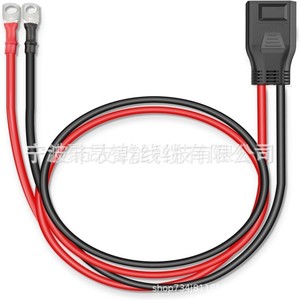 Cable de alimentación Tomokan 8AWG 50A con enchufe Nema de 0.5M para <span class=keywords><strong>EcoFlow</strong></span> <span class=keywords><strong>Delta</strong></span> <span class=keywords><strong>2</strong></span> y 3 Series - Product Image 1