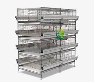Équipement <span class=keywords><strong>d</strong></span>'élevage avicole : Cage <span class=keywords><strong>de</strong></span> poussins <span class=keywords><strong>de</strong></span> type H pour 45 jours / Éleveuse / Cages pour poussins pondeuses <span class=keywords><strong>d</strong></span>'<span class=keywords><strong>un</strong></span> <span class=keywords><strong>jour</strong></span> à vendre - Product Image 1