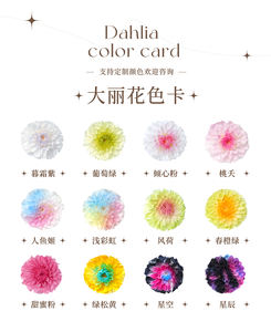 ดอกไม้ธรรมชาติแท้ที่เก็บรักษาไว้แห้งกุหลาบประดิษฐ์นิรันดร์นิรันดร์ดอกไม้ดอกรักเร่สำหรับช่อดอกไม้ของขวัญวาเลนไทน์ - Product Image 6