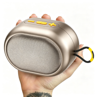 Haut-parleur portable extérieur étanche OEM/ODM d'usine, compatible avec application, alimenté par batterie, avec subwoofer, forme personnalisée, logo, sans fil