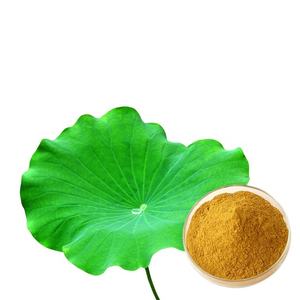 Bubuk ekstrak daun teratai alami organik suplemen nukferin untuk penurunan berat badan Vitamin aktif ramuan botol Halal - Product Image 5