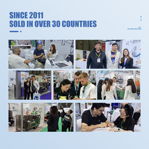 Máquina Automática de Pesaje y Etiquetado de 10KG 20KG para Llenado de Polvo en Bolsas de Papel para Alimentos, Harina de Trigo, Detergente para Ropa - Product Image 4