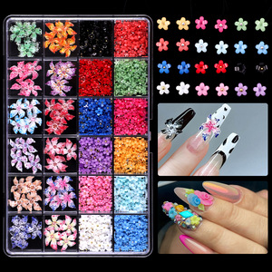 Decorazioni per Unghie 3D a 24 Scomparti, Perle Colorate, Strass, Fiori <span class=keywords><strong>Rosa</strong></span>, Camelia, Fiocchi Misti per Nail Art - Product Image 2