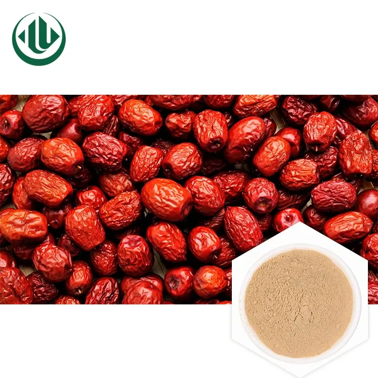 100% natürlicher und organischer gefrier getrockneter Jujube-Pulver-Extrakt Red Dates Powdered Tea
