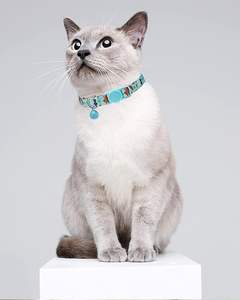 Bienvenido a la consulta Precio Hebilla de plástico para <span class=keywords><strong>collar</strong></span> de gato Hebilla de cinturón <span class=keywords><strong>Collar</strong></span> de gato <span class=keywords><strong>Collar</strong></span> de cinturón de perro Reflectante - Product Image 1